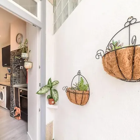 شقة Modern Rustic In Graca By Lovelystay